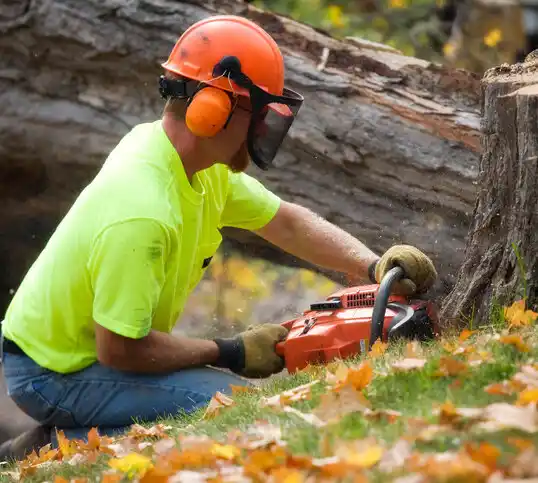 tree services Friendsville